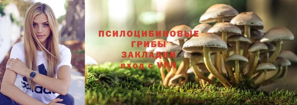 мдпв Беломорск
