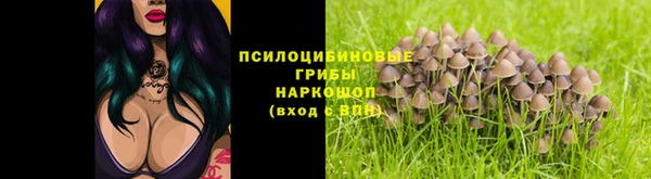 ПСИЛОЦИБИНОВЫЕ ГРИБЫ Белоозёрский