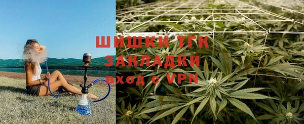 ПСИЛОЦИБИНОВЫЕ ГРИБЫ Белоозёрский