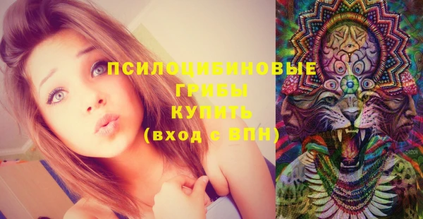 мдпв Беломорск