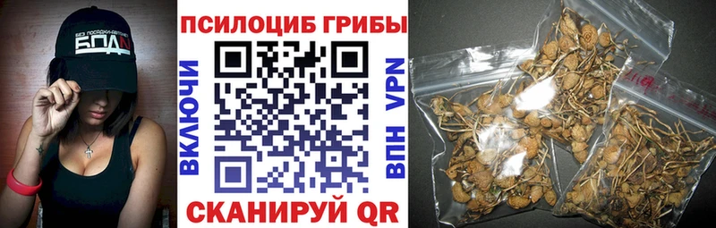 Псилоцибиновые грибы ЛСД Усинск